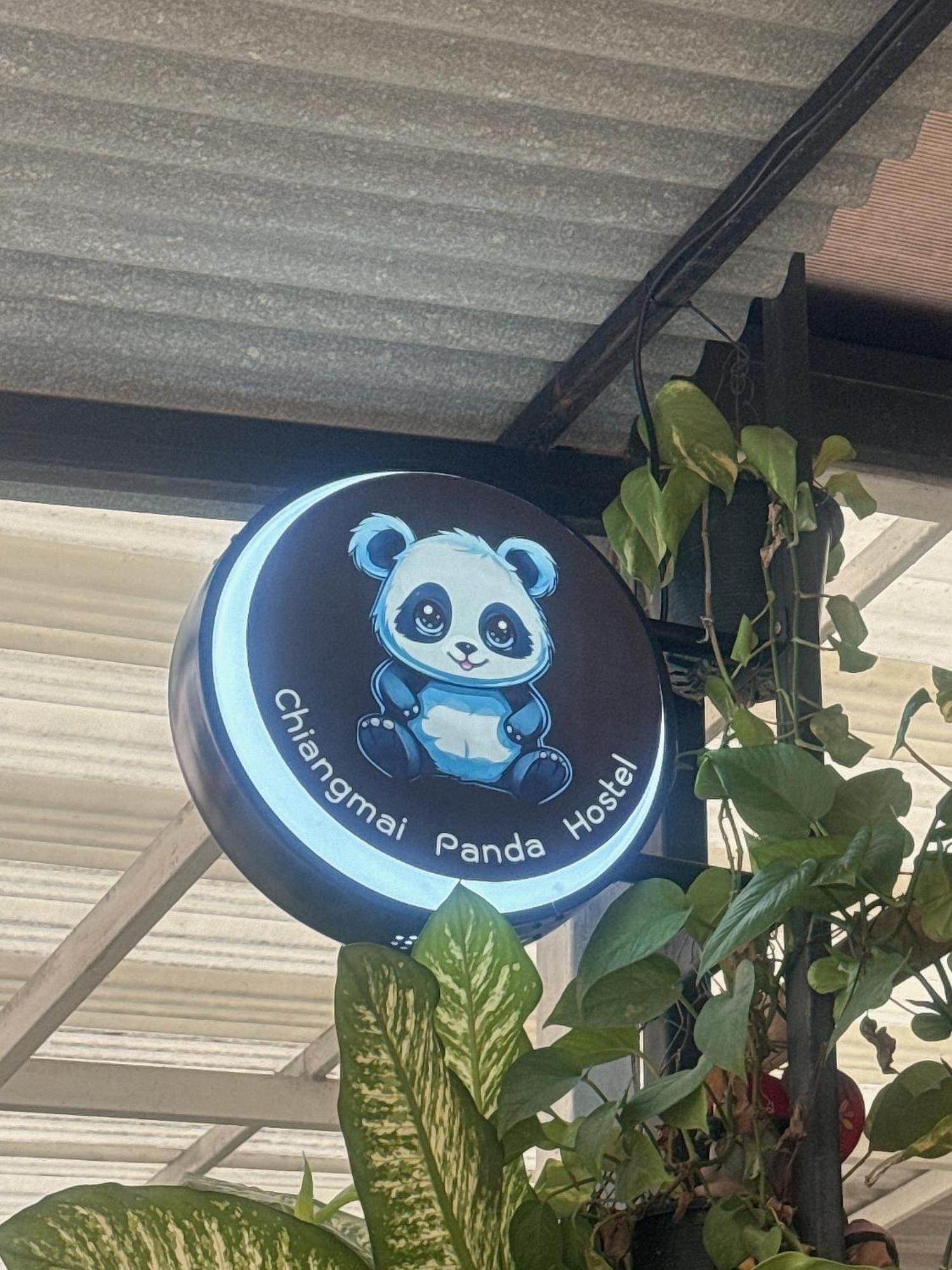 Chiang Mai Panda Hostel Bagian luar foto