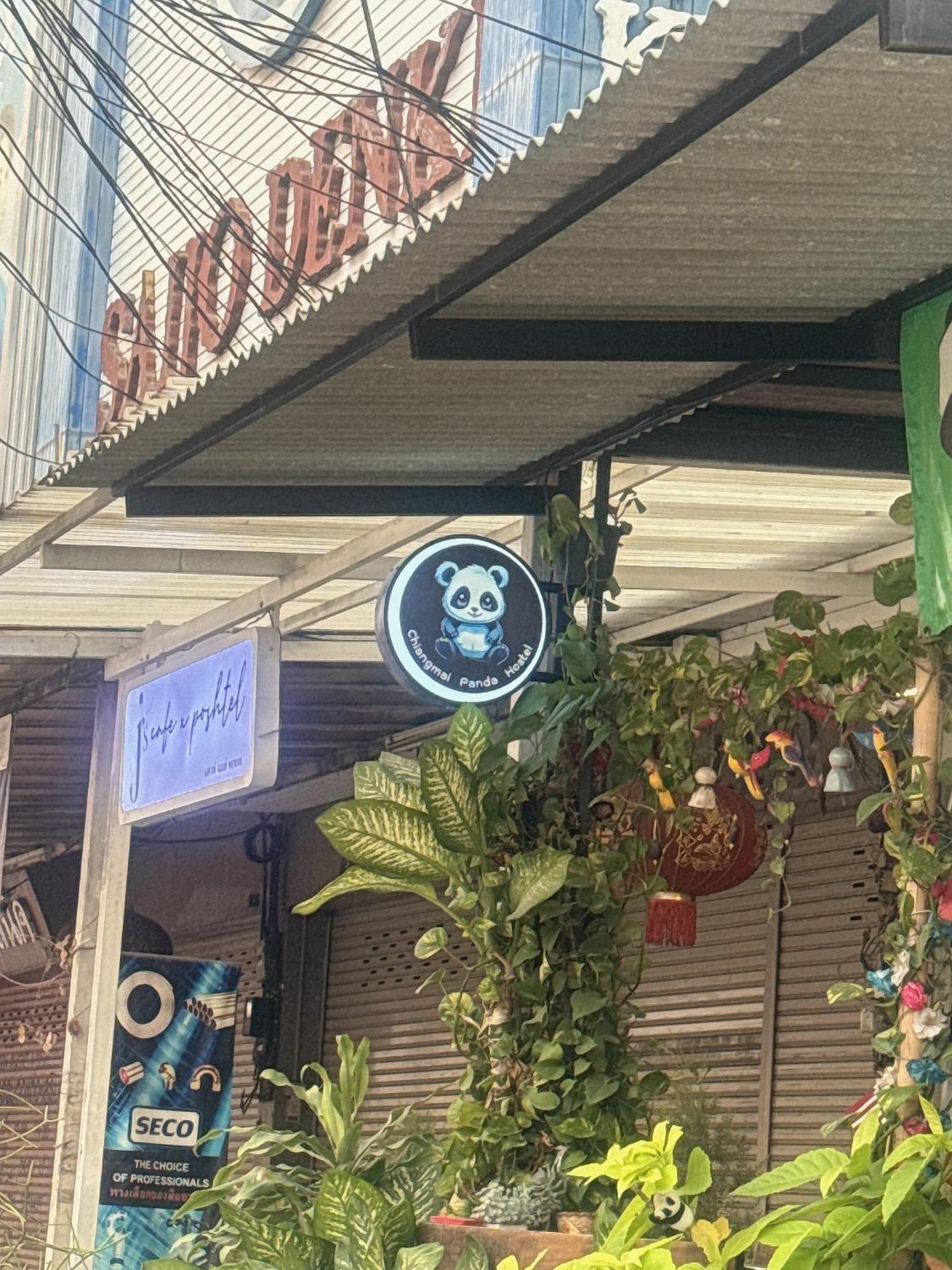 Chiang Mai Panda Hostel Bagian luar foto