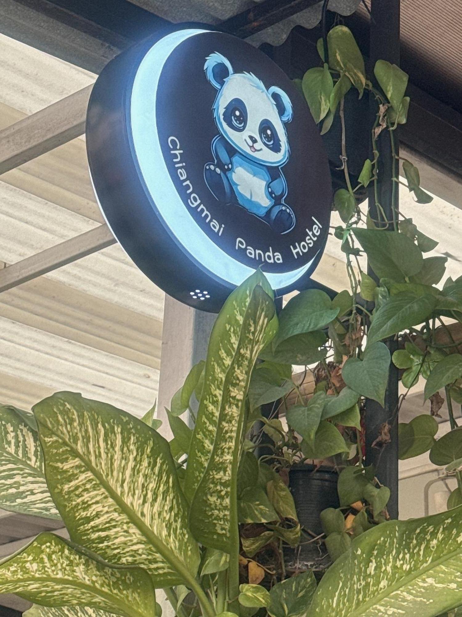 Chiang Mai Panda Hostel Bagian luar foto